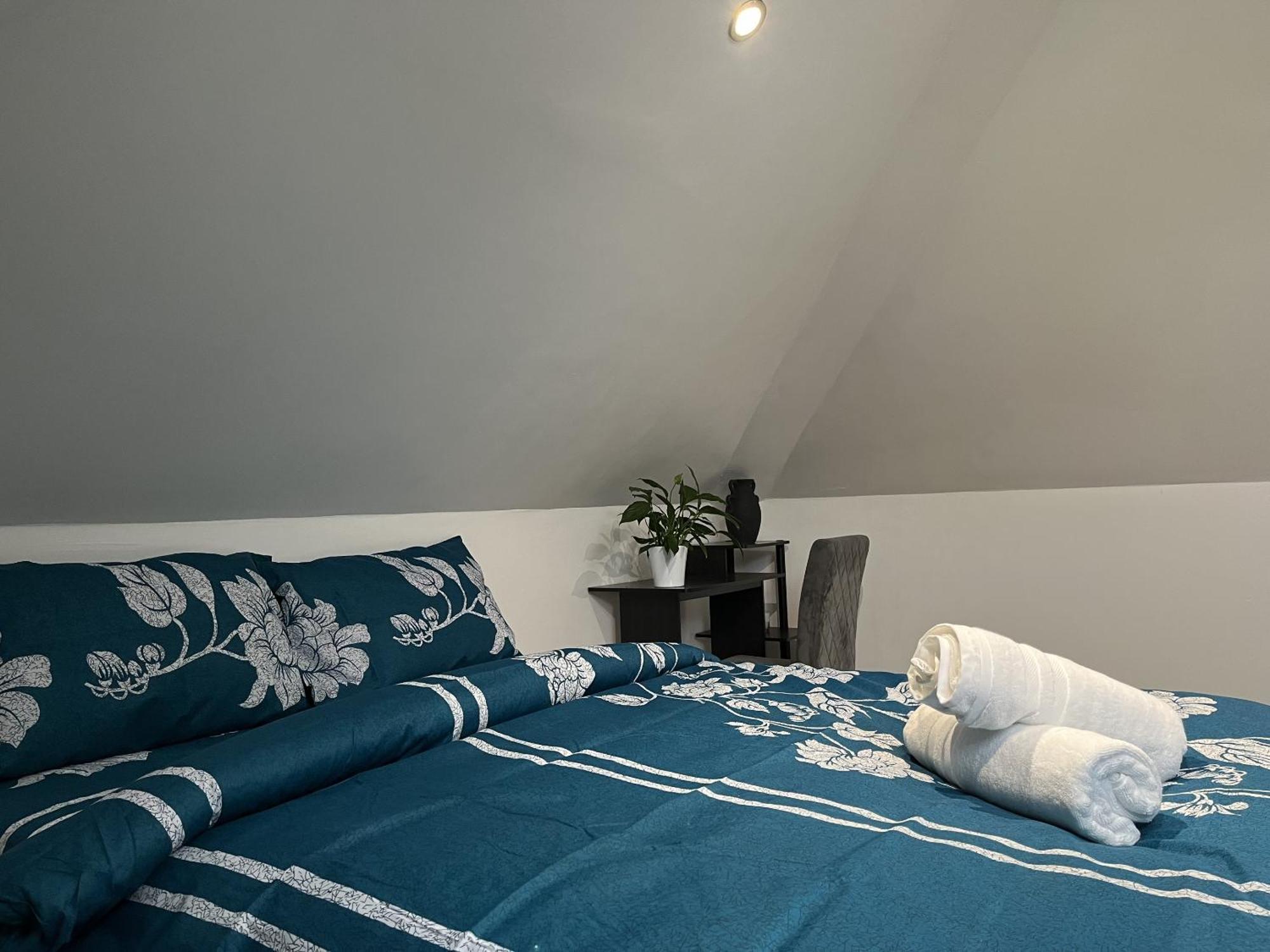 Ak Serviced Blue House Cardiff